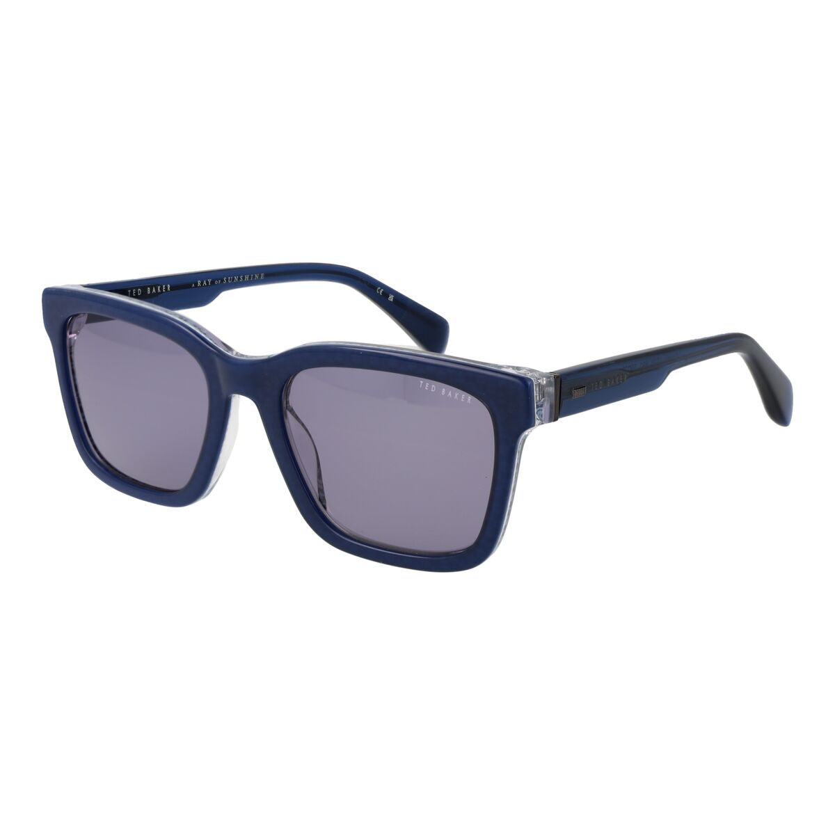 Men's Sunglasses Ted Baker TB1722 55691-0